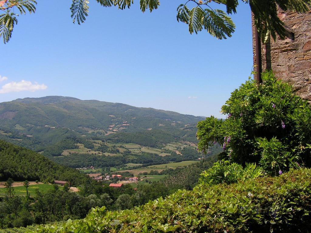 Fattoria Il Lago Dicomano Szoba fotó